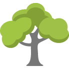 State College Tree Removal