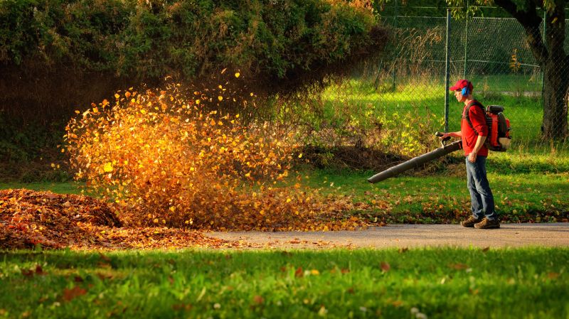 Leaf Removal Services