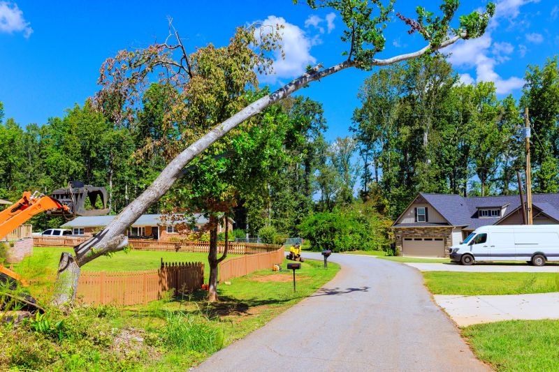 Emergency Tree Removal