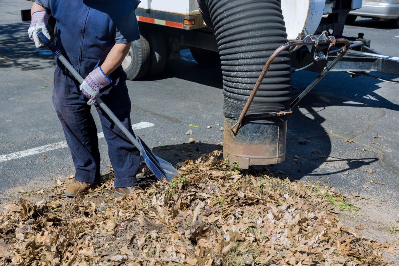 Yard Cleanup Service