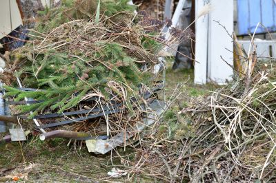 Debris Disposal