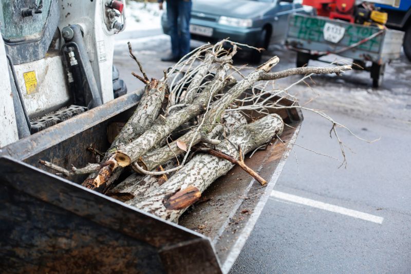 Who Does Tree Removals